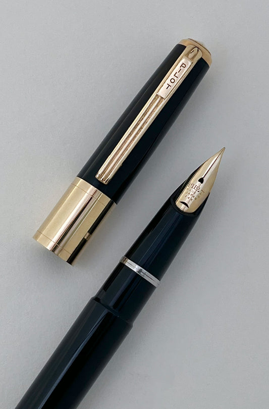 pilot, fountain pen, super, super 200, vintage, restored, flex superflex, wet noodle, 14k